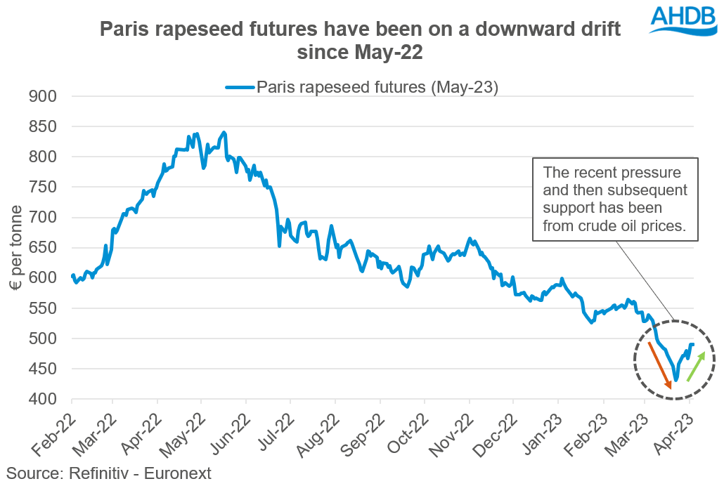 A graph showing rapeseed prices